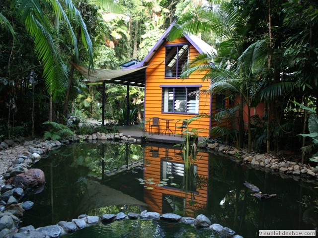 Rainforest Hideaway