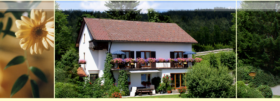 Haus Mariele-Pension Südhang